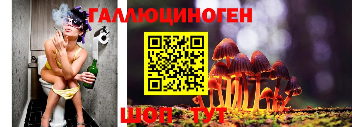 Галлюциногенные грибы мицелий  наркота  Вход с VPN  Фролово  Галлюциногенные грибы GOLDEN TEACHER 
