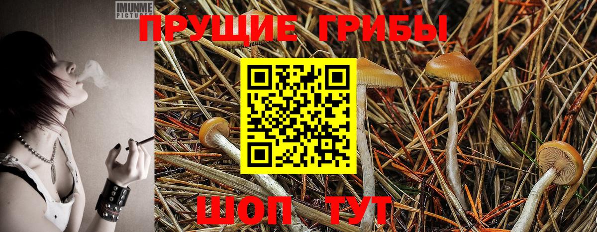 Alpha-PVP СОЛЬ   Экстази  КОКАИН  Вход с VPN  Фролово  Гашиш  Каннабис  Меф МЯУ МЯУ  
